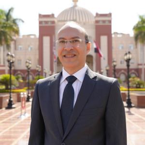 Bassem Heshmat Naguib Mina